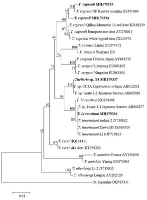 Molecular Survey of Tick-Borne Pathogens Reveals Diversity and Novel Organisms With Veterinary and Public Health Significance in Wildlife From a National Nature Reserve of China